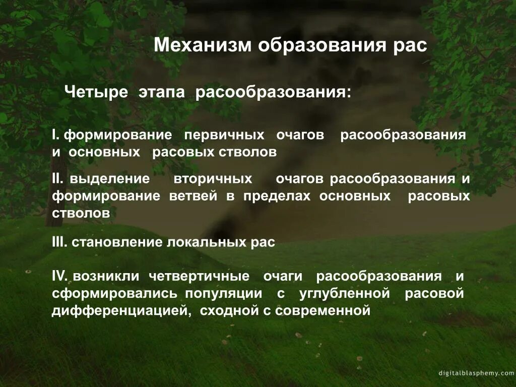 Которая лежит в основе формирования. Механизм образования расы. механизмы формирования рас. механизм возникновения рас. механизмы лежащие в основе формирования человеческих рас.