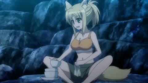 Dog days are