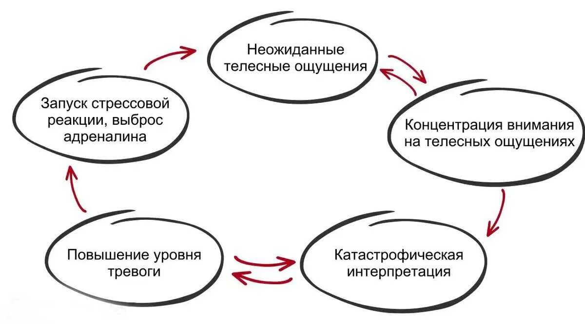 Паническая атака схема. Порочный круг панической атаки. Порочный круг возникновения панической атаки. Схема панической атаки. Когнитивно-поведенческая терапия.