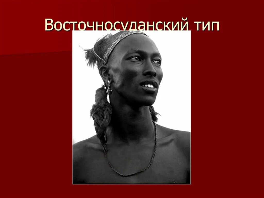 Адаптация негроидной расы. Негроидная раса. Известные люди негроидной расы. Типы негроидной расы. Негроидная раса характеристика.