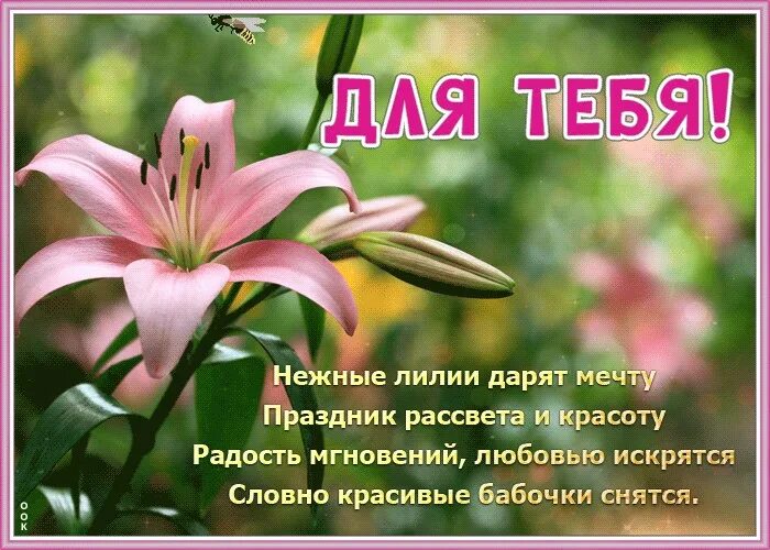 Лиля с днем рождения открытки с пожеланиями. С днём рождения лилия. поздравления с днём рождения лилии. стихи про лилии. открытка с днём рождения лилии.