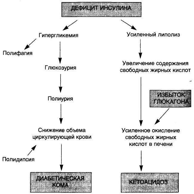 Какое заболевание при недостатке инсулина. Глюкозурия при сахарном диабете. Сахарный диабет схема. Механизм развития глюкозурии. Дефицит инсулина схема.