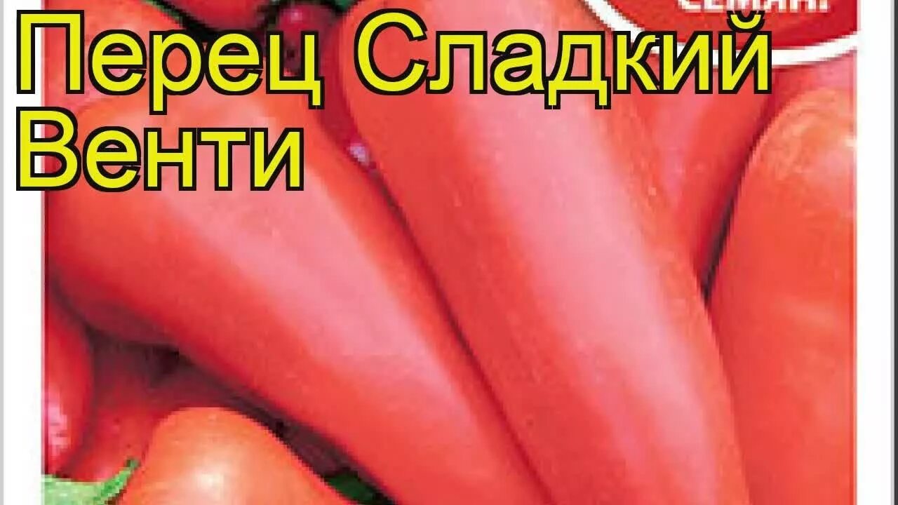 Отзывы на Евро-Семена Семена от покупателей OZON