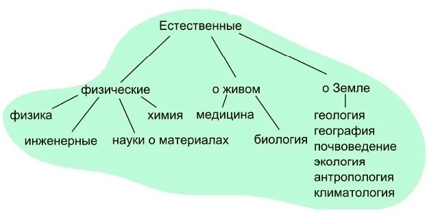 Естественные общественные и гуманитарные науки. Естественные науки. Что относят к естественным наукам. Естественные НАУКИНАУКИ. Естественные науки примеры.