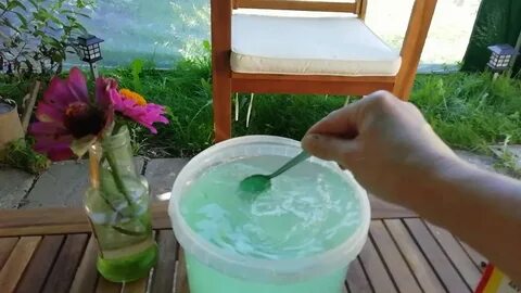 Чем опрыскивать флоксы от мучнистой