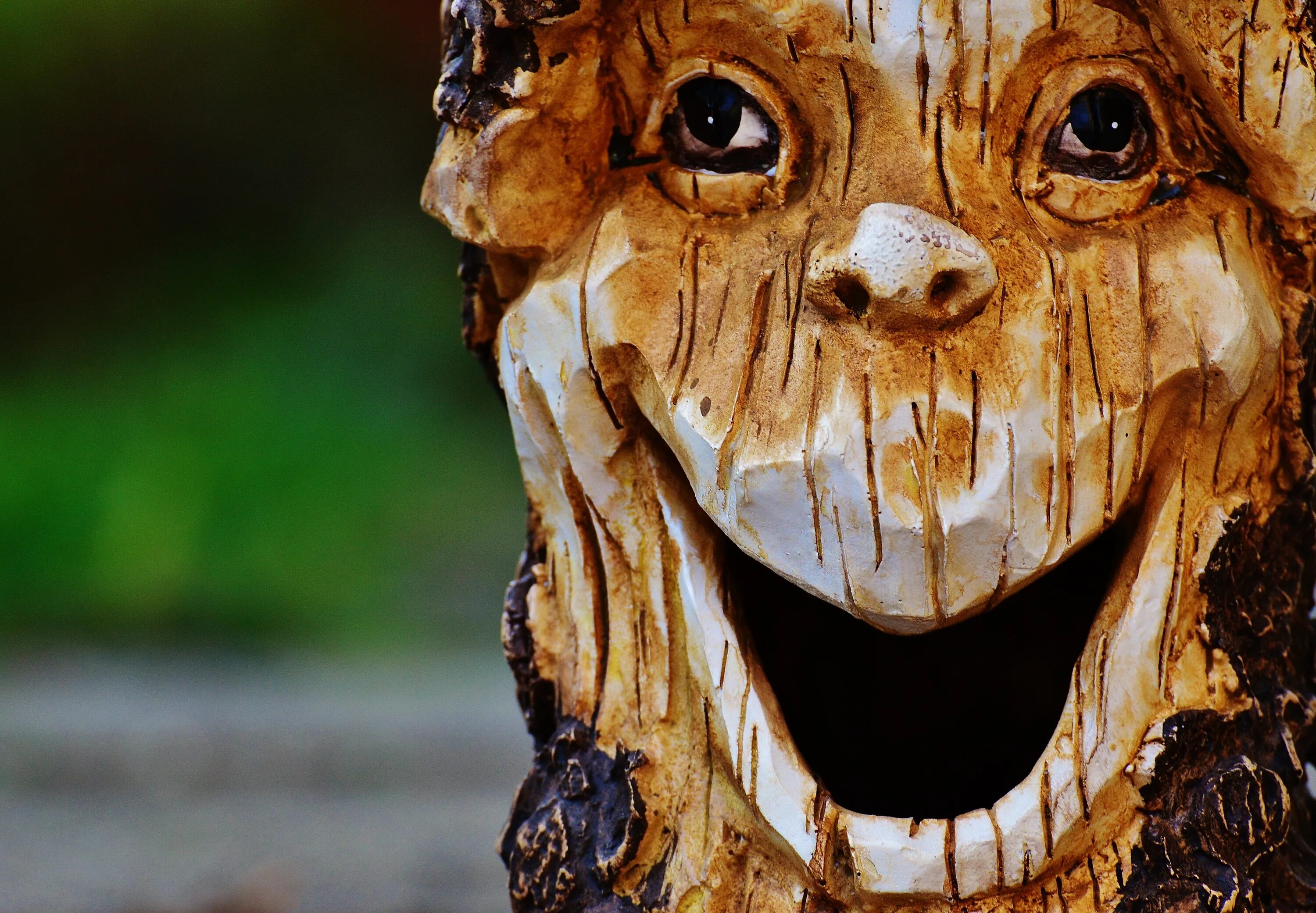 Картинки лицо дерево. Дерево с лицом. Лицо лесного духа из дерева. Необычные рожи лица из дерева.