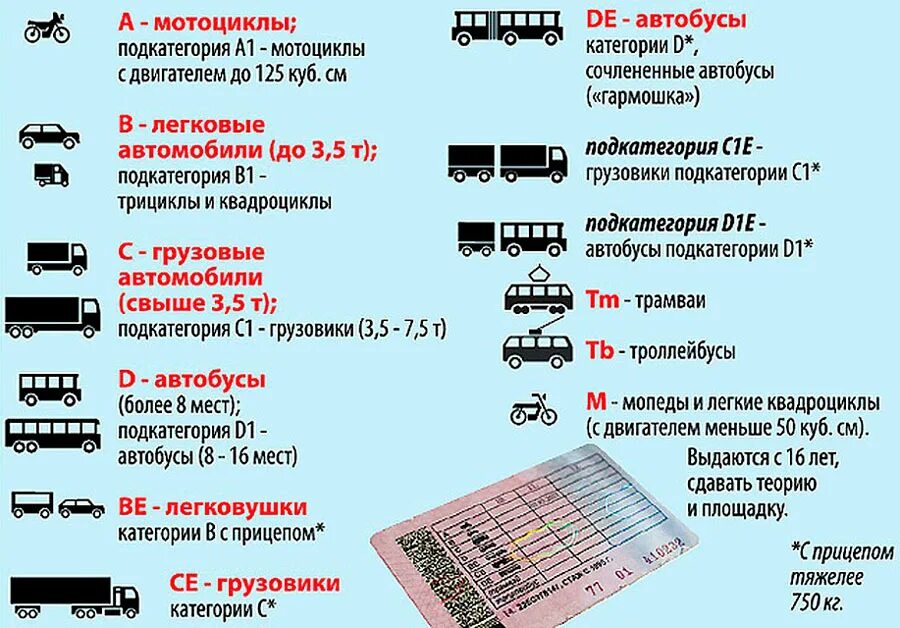 Какие тс относятся к категории. Расшифровка категорий водительского удостоверения в1 и м. категории водительских прав с расшифровкой м1. категории водительских прав а1,в1,с1. категории транспортных средств в водительском удостоверении.
