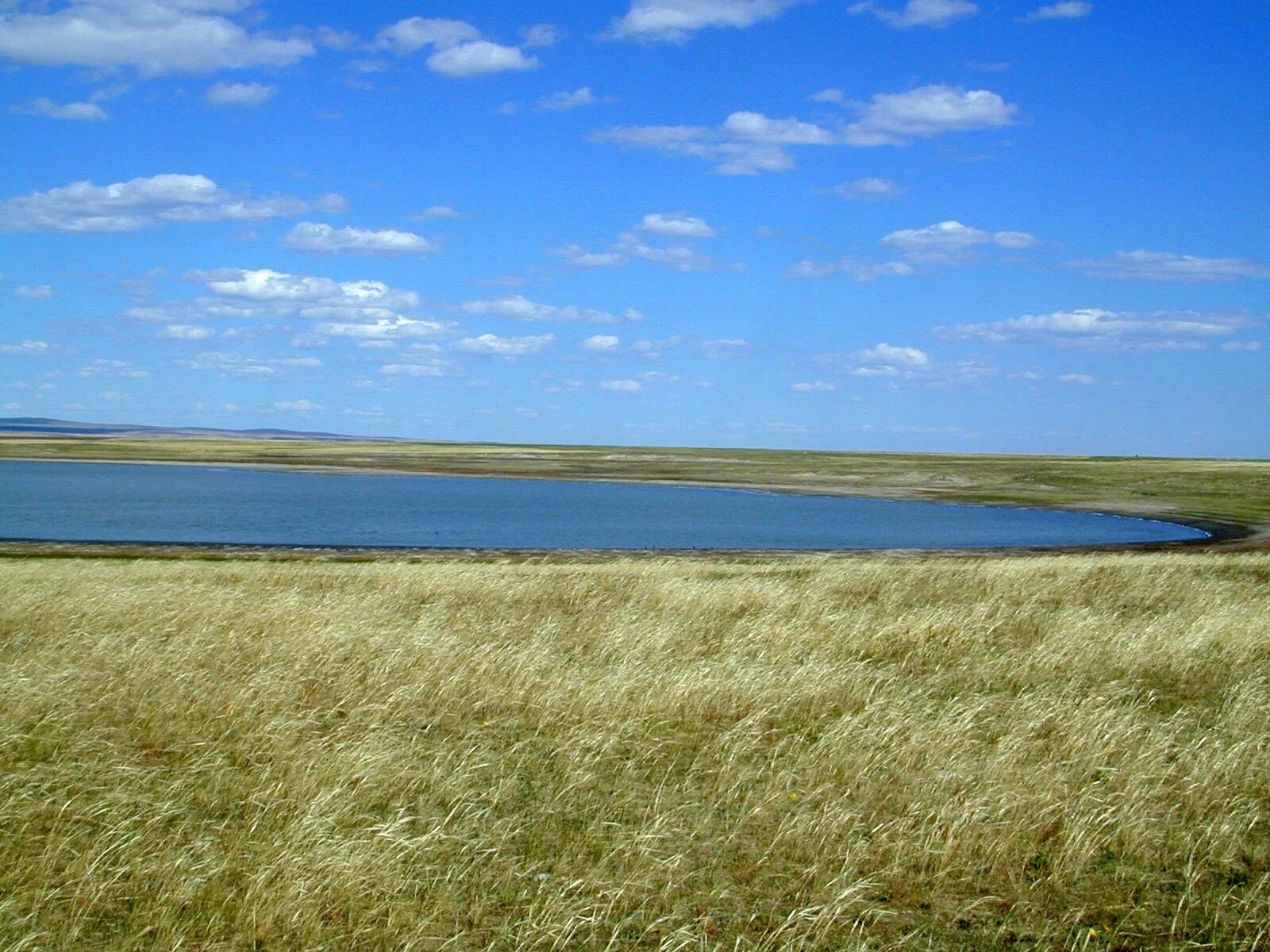 Заказник агинская степь. Забайкалье агинские степи. Кулундинская равнина. Озеро Горбунка Забайкальский край. Озеро степное забайкальский край