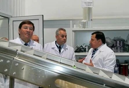 Мишкин директор