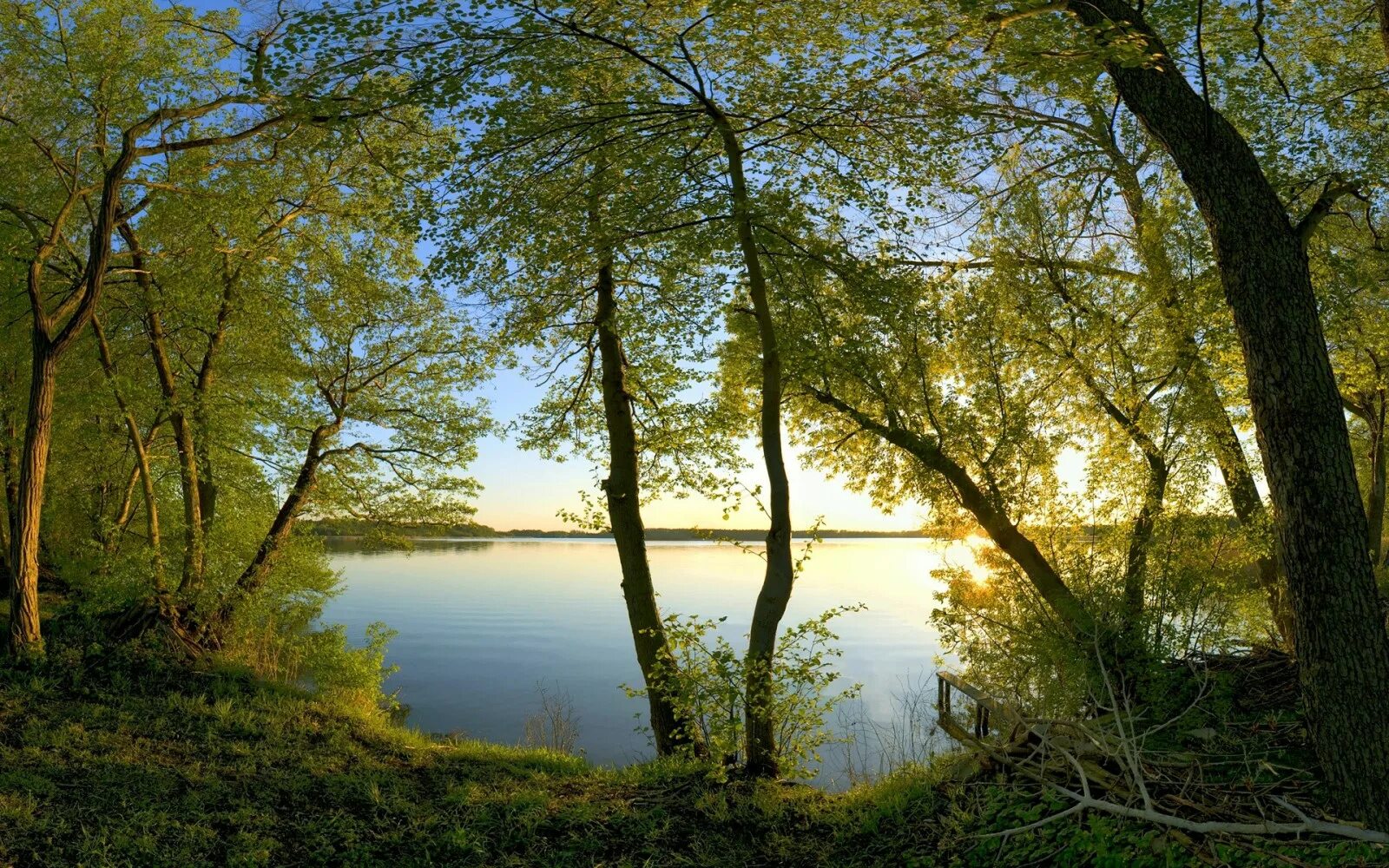 Озеро солнечный берег. Природа. Природа река. Пейзажи природы лето. Природа река деревья.