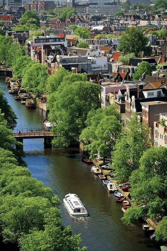 Dutch страна. Город харлем голландия. Жители голландии. Dutch страна. Мост в амстердаме.