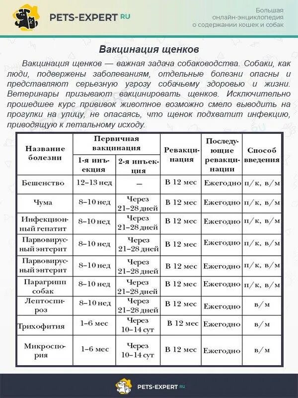 В каком возрасте щенкам делают