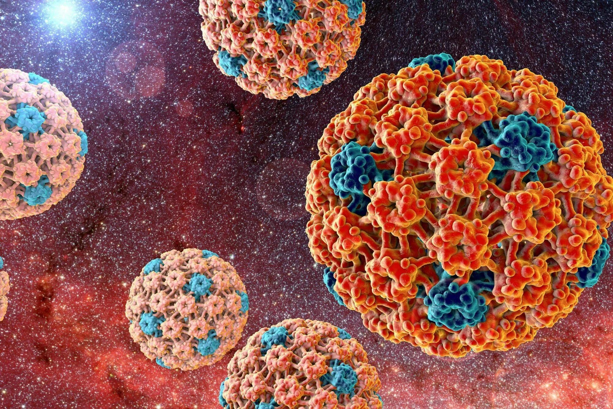 Люди virus. Папилломавирус под микроскопом. Папилломавирусная инфекция.