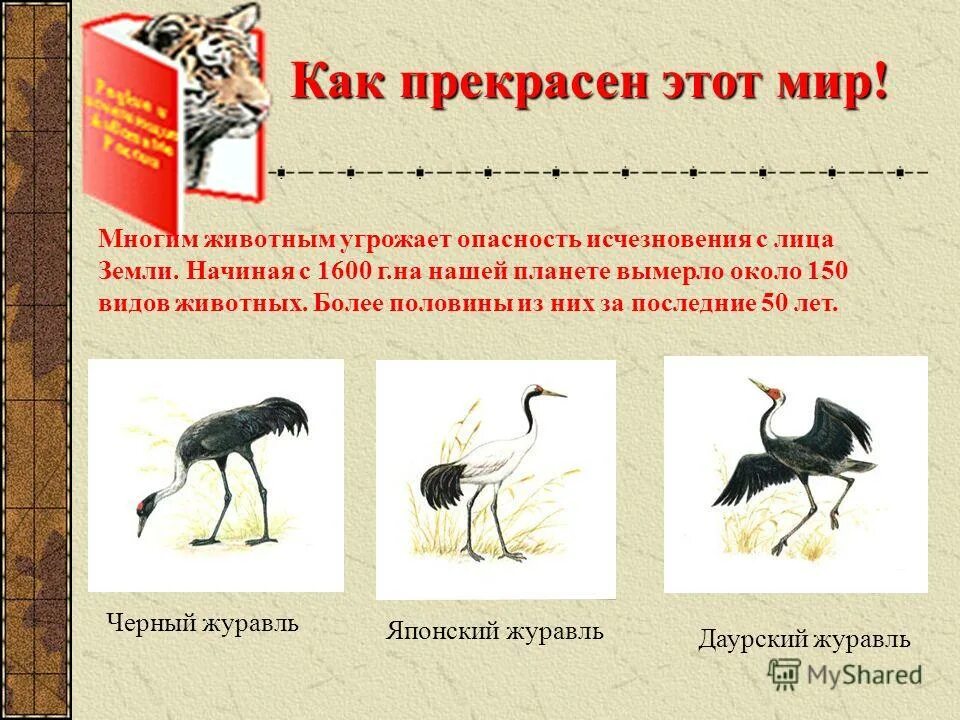 все исчезающее с лица земли