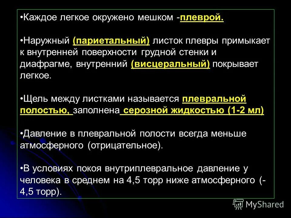 Механизм газообмена в лёгких физиология. Легочная вентиляция. Физиологическая роль дыхания. Как называется процесс в легких. Правое легкое состоит из долей.