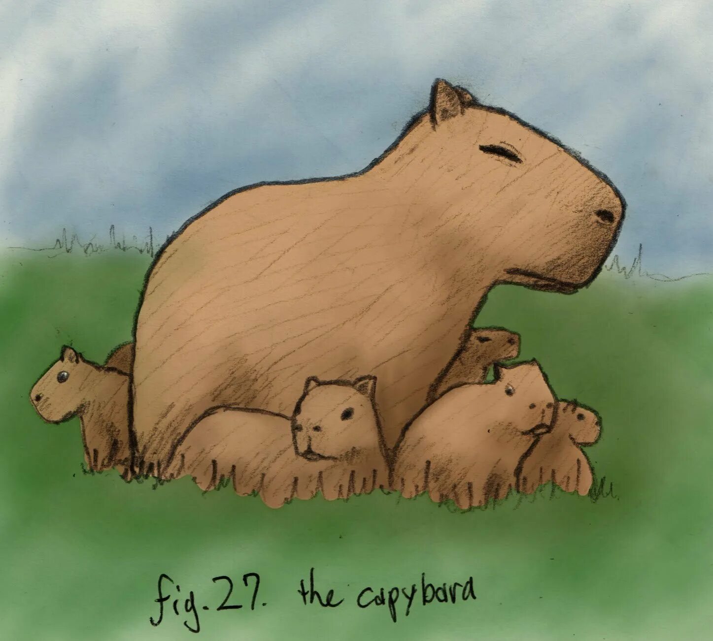 Блокнот капибара. Капибара art. капибара рисуночек. капибара рисунок легкий.