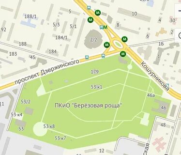 Автобус березовая роща воронеж