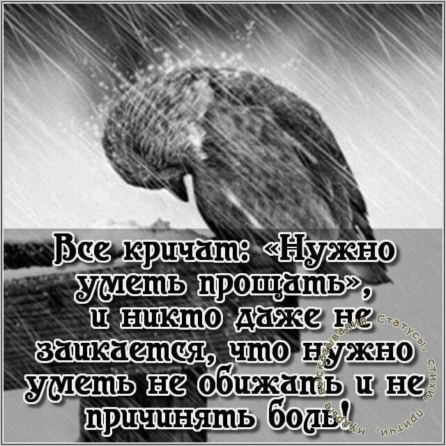 Стихи надо уметь прощать. Надо уметь не обижать. Стихи если тебя обидели ты умей прощать. Все кричат нужно уметь прощать.