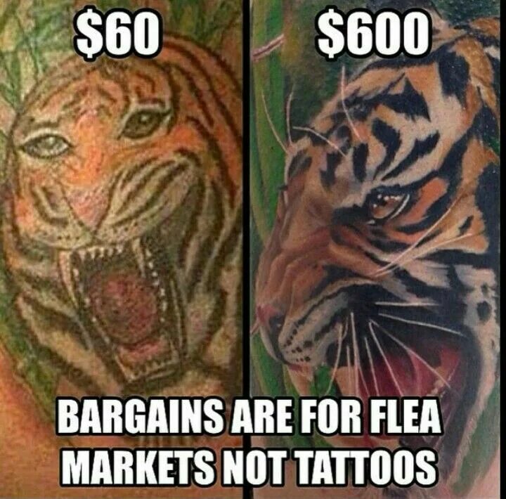 Тигр бежит. The art of taming a tiger. Белый тигр оскал. That a tiger. Тигр оскал анфас.