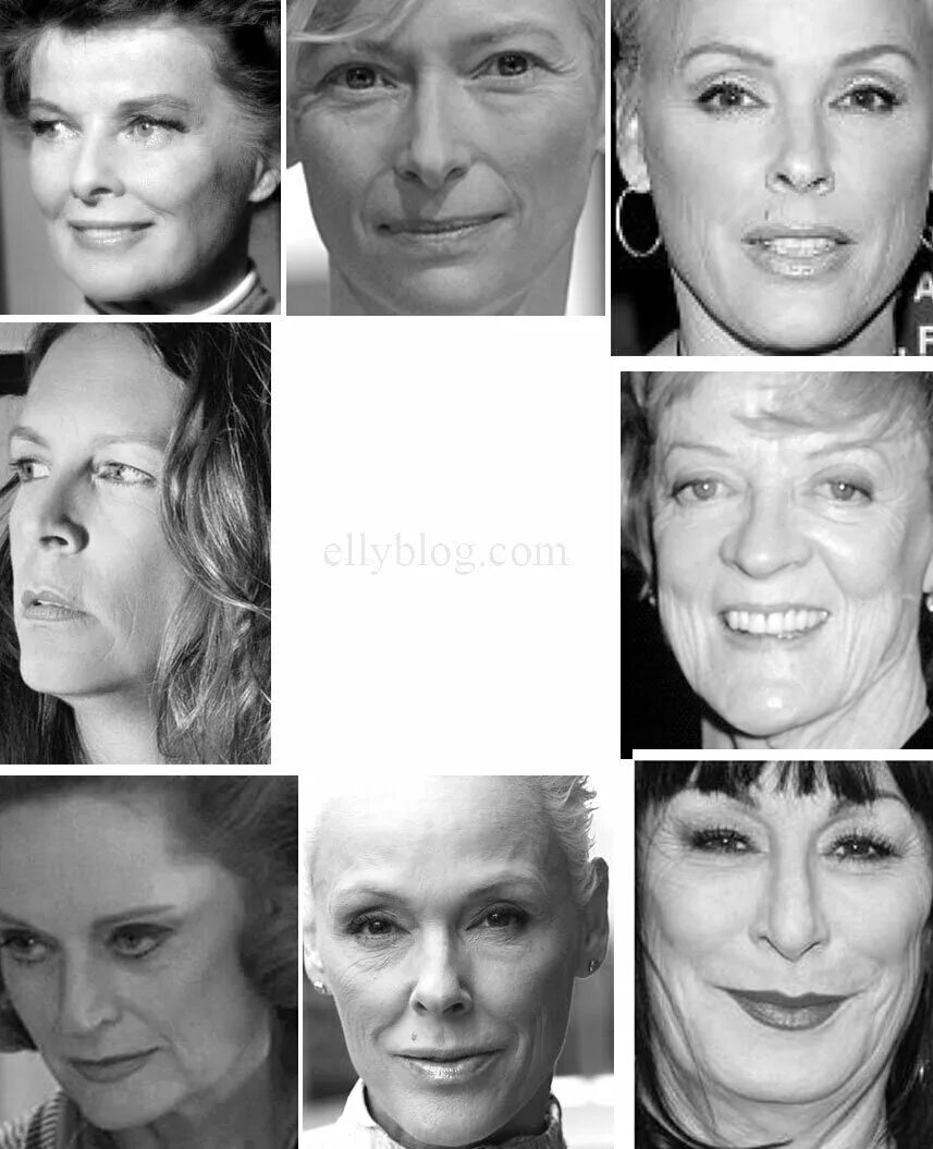 Дэвид кибби стилевые типажи. Драматик ларсон знаменитости. Кристен стюарт типаж кибби. Дэвид кибби внешность. Тип драматик.