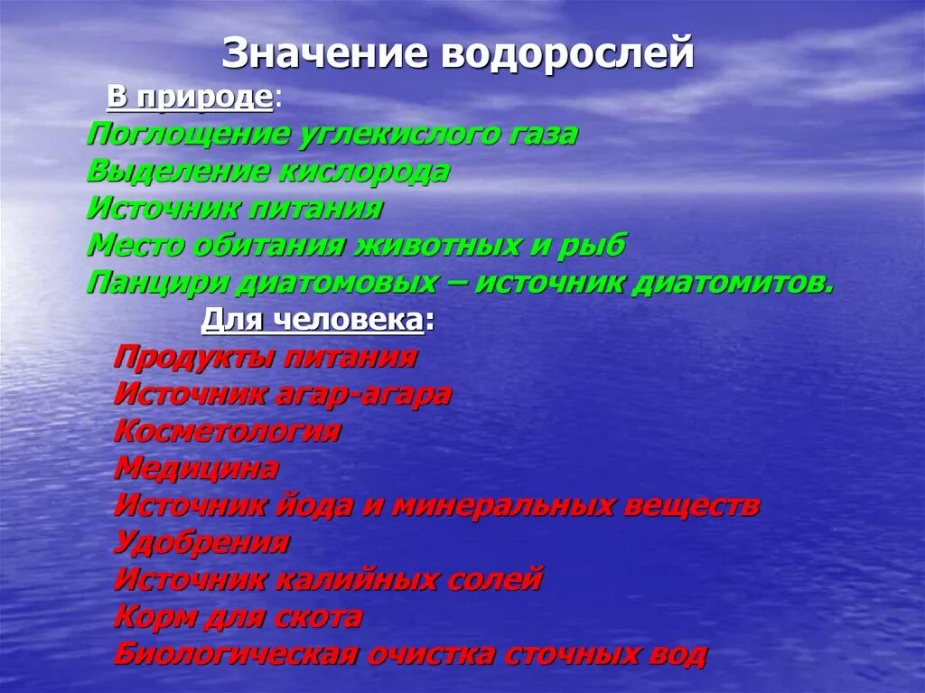 Сообщение о значении водорослей