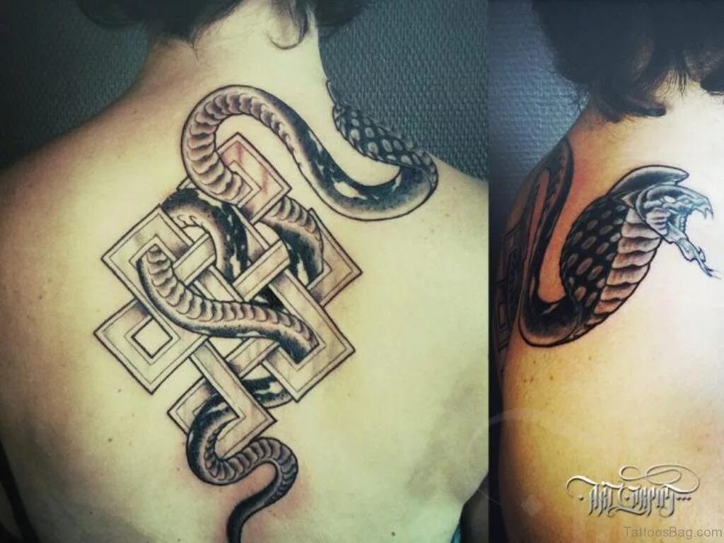 Snake back