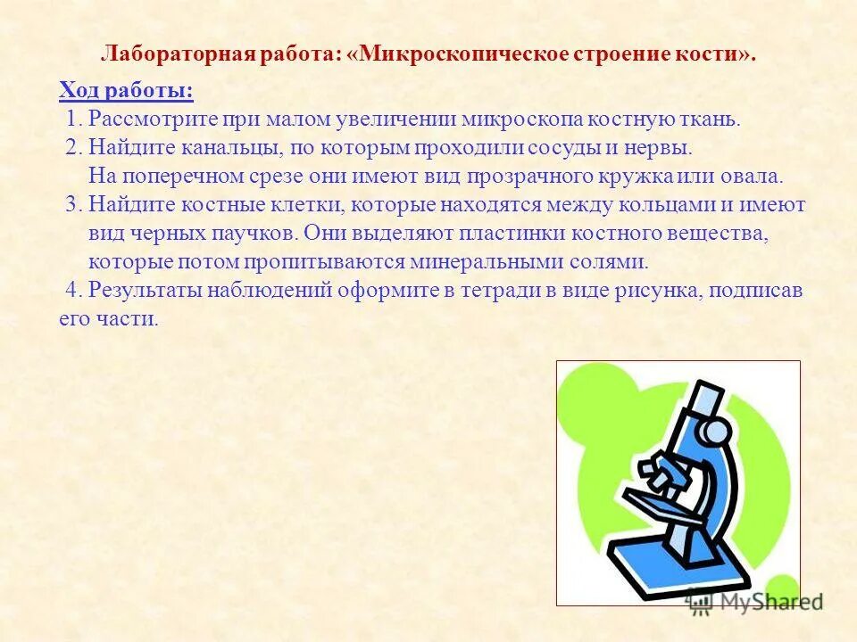 Лабораторная по биологии микроскопическое строение кости. Лабораторная работа строение кости. Микроскопическое строение кости лабораторная работа 8. Строение микроскопического строения кости лабораторная работа.