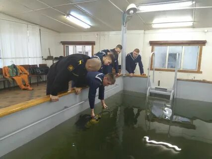 Морская бассейн отзывы