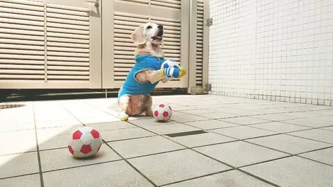 This is a ball