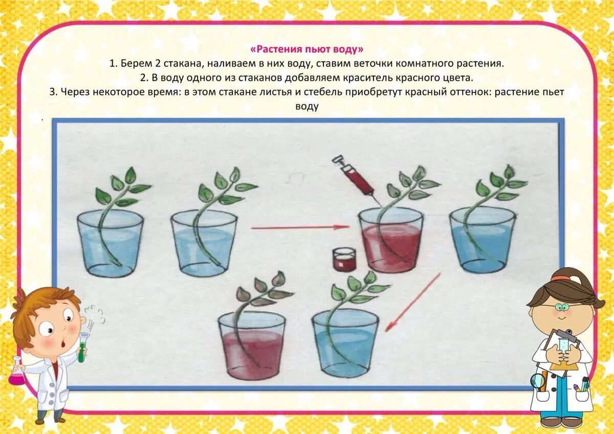 Конспекты опытов старшая группа. Схемы опытов и экспериментирования для дошкольников. Картотека схем проведения опытов и экспериментов в детском саду. Эксперименты по экологии для дошкольников. Алгоритм проведения опыта с водой.