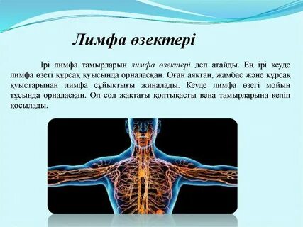 Сексуалдық порно фильмдер