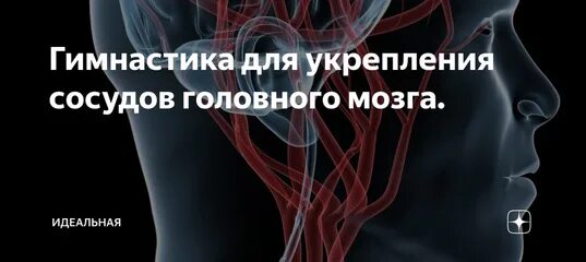 Улучшение кровообращения головного при шейном. Гимнастика для сосудов головного мозга. Упражнения для сосудов головного мозга. Упражнения для сосудов головного мозга и шеи. Упражнения для головы для сосудов головного мозга.