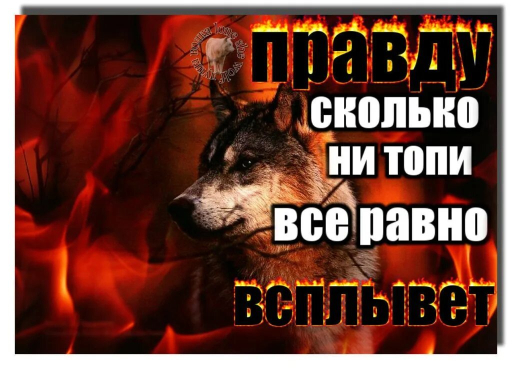 Правду сколько не топи все равно всплывет. Сколько не топи правда. Не топи ты.