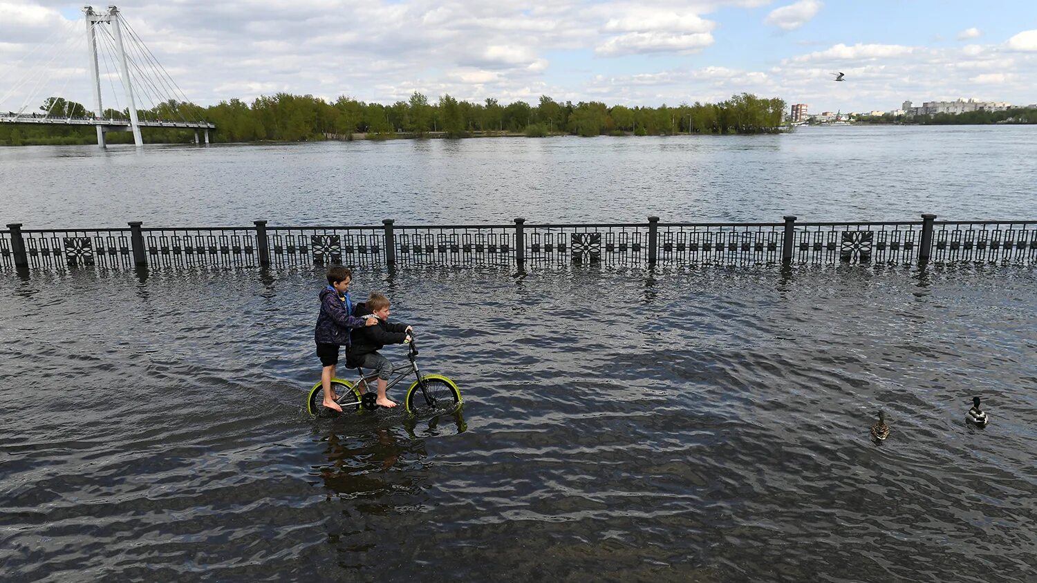 Енисей какое половодье. Набережная енисея красноярск 2025. енисей красноярск 2025. затопило набережную в красноярске 2025. енисей 2025 в красноярске паводок.