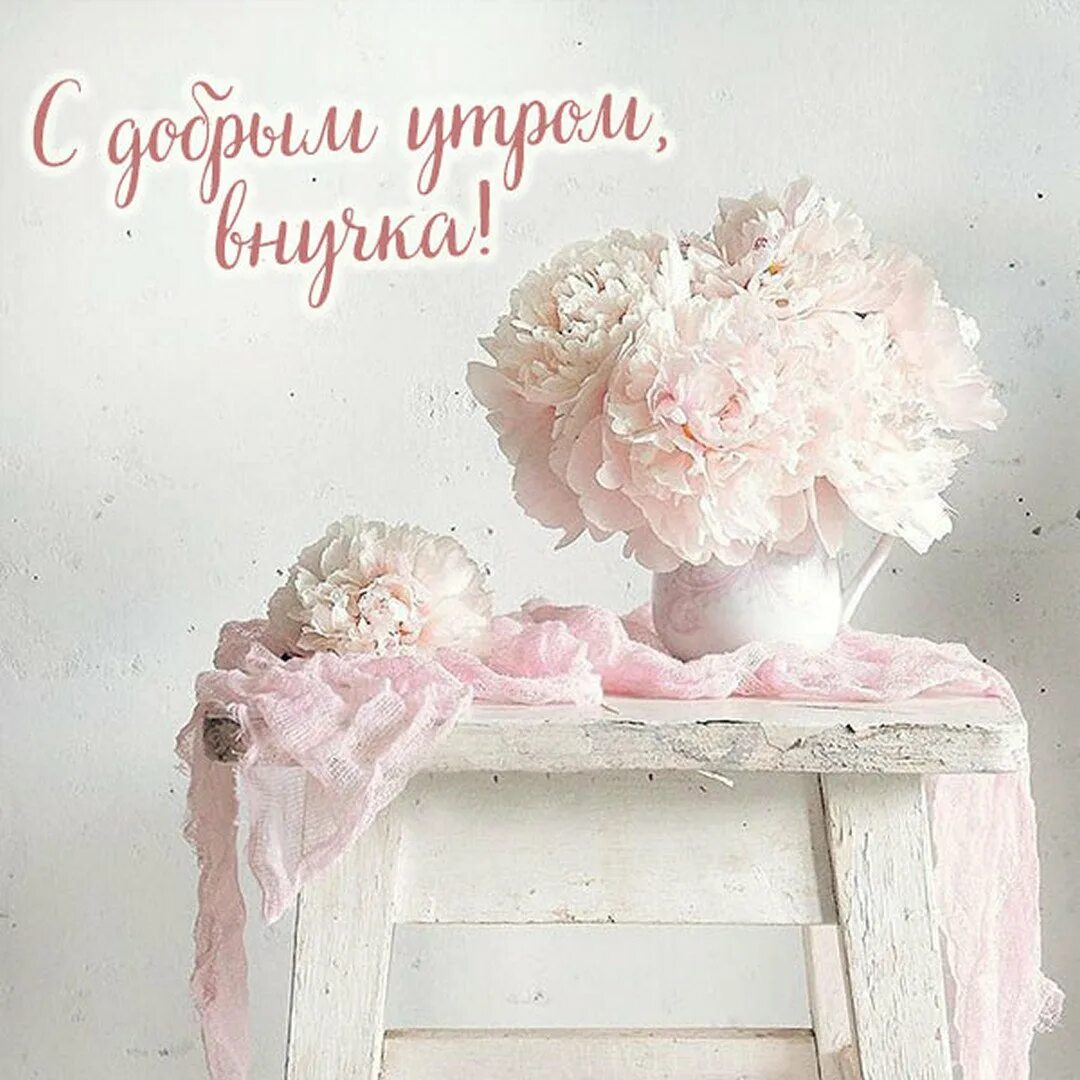 Доброе утро взрослой дочери. Красивые нежные открытки. открытки хорошего дня нежные. открытки с добрым утром нежные необычные. с днём рождения нежные открытки.