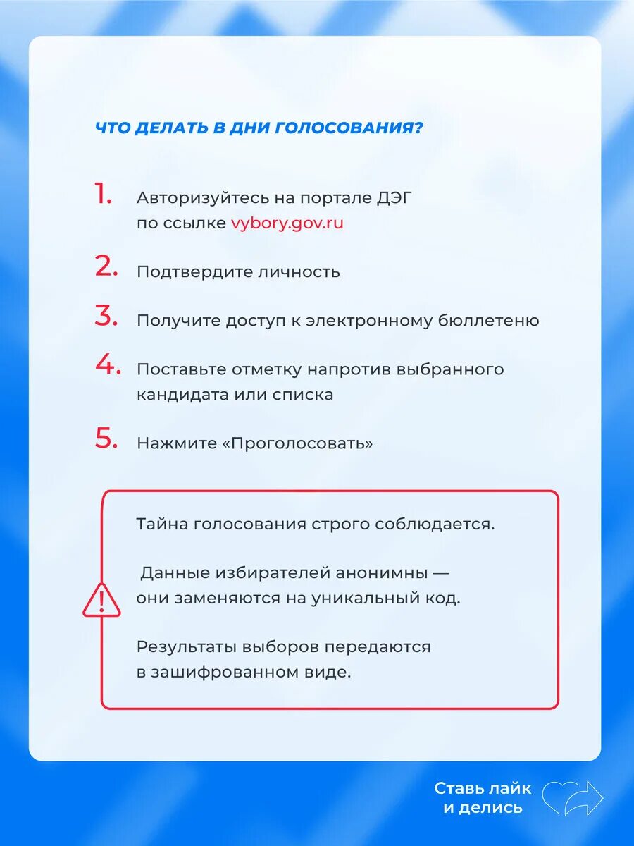 Как проголосовать на терминале. Терминал электронного голосования.