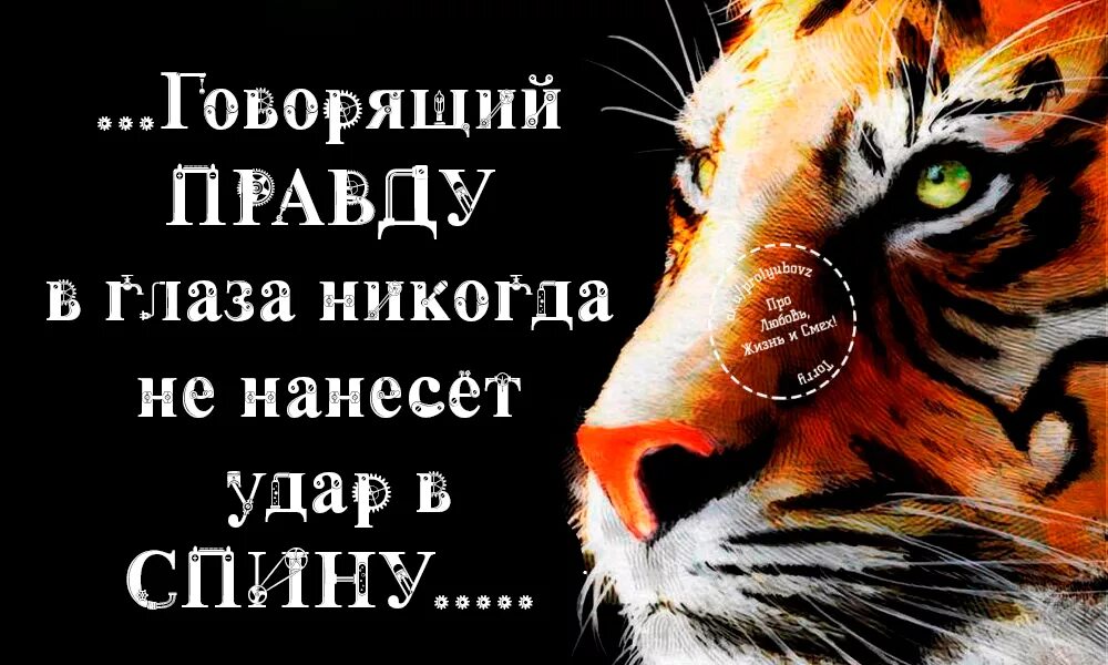 Говорящий правду в глаза. Люди которые говорят правду в глаза никогда не. Говорящий правду в глаза цитаты. Цитаты про правду в глаза.