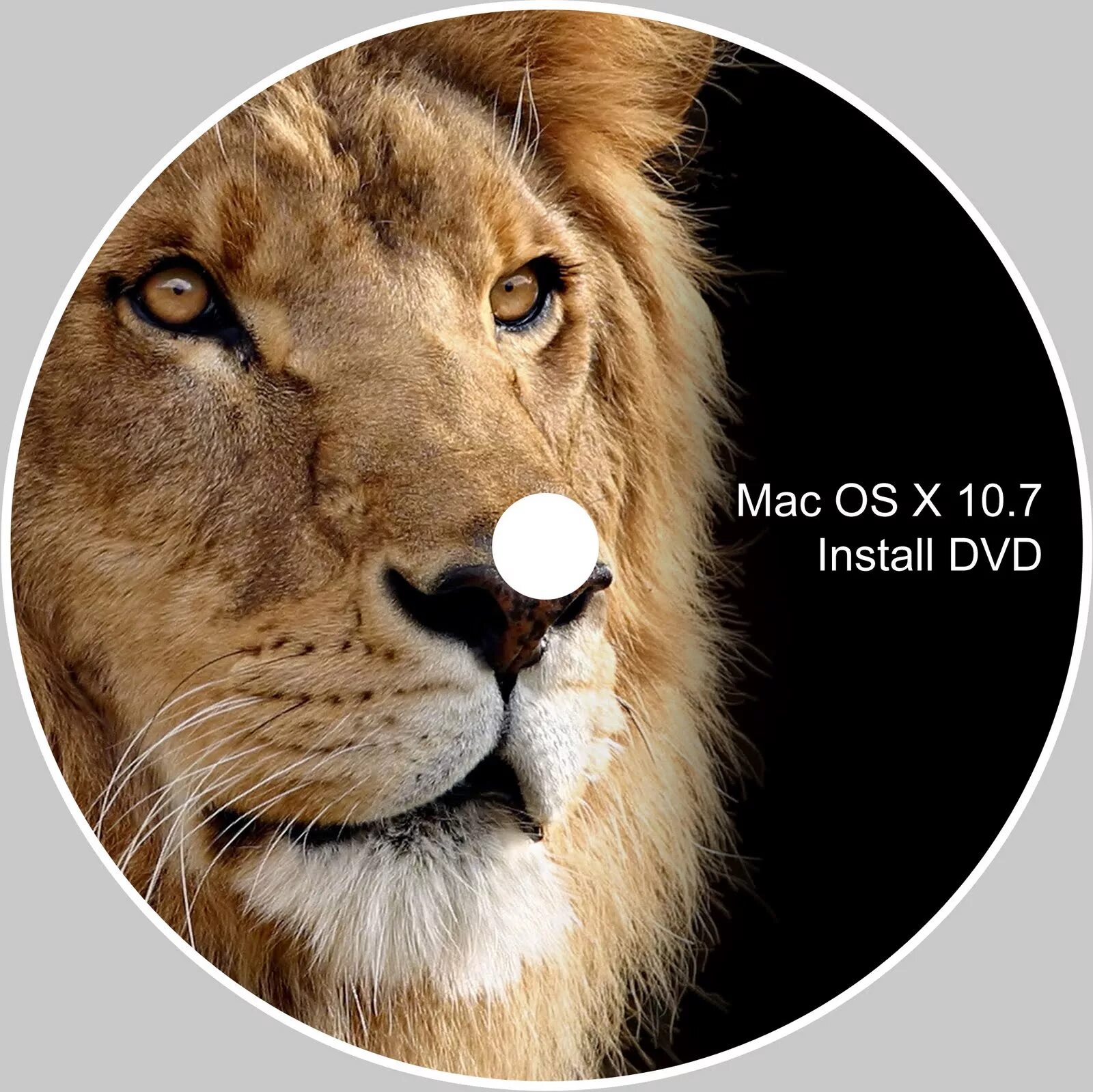 Установка os lion. 10.7 lion. os x lion. mac x lion. маком лион.