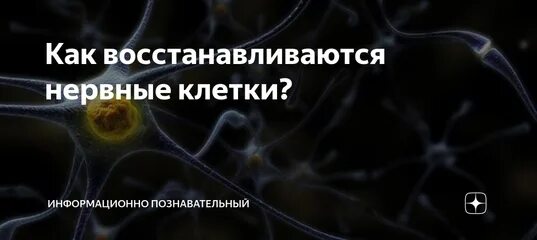 Что восстанавливает нервные клетки. Как восстанавливаются нервные клетки. Клетки восстанавливаются. Нервные клетки восстанавливаются или нет у человека. Сколько восстанавливается нервная