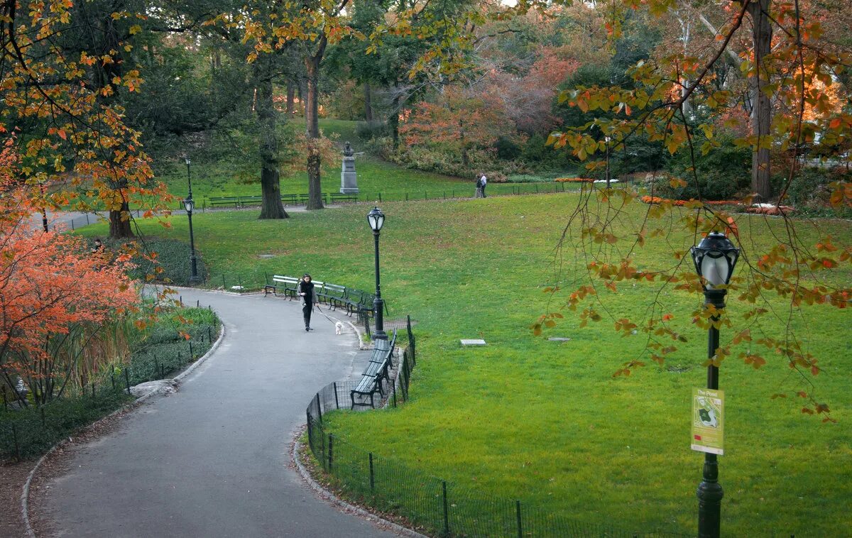 Парки в америке в городе. Осень в Нью-Йорке Центральный парк. Центральный парк парк в США. Центральный парк Нью-Йорка прогулка. Парк в Нью-Йорке тропинки прогулочные.