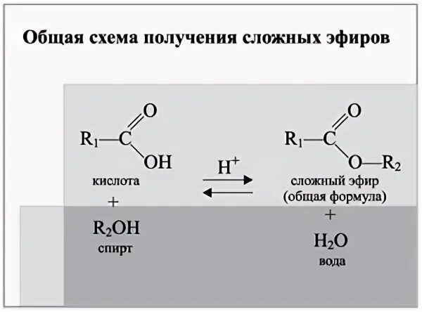 Напишите реакцию получения сложного эфира