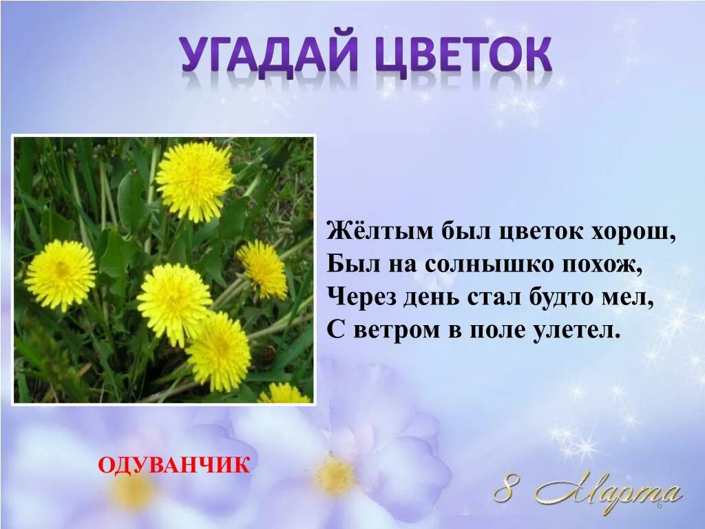 Загадка про одуванчик. Загадка про одуванчик для дошкольников. Загадки про одуванчик 2 класс. Загадка про одуванчик для детей.