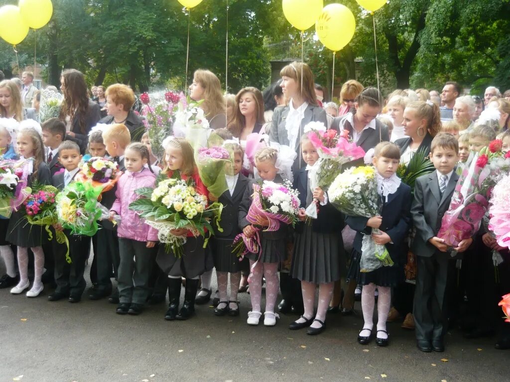 первая школа города щекино. музыкальная школа 1 щекино. школа 20 щекино. гимназия номер 1 город щекино. школа 1 щекино.