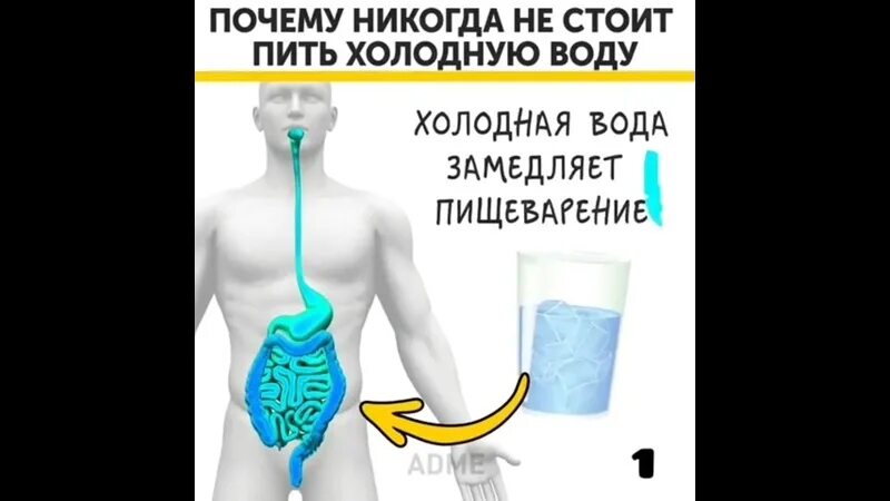 Пить холодную воду. Почему нельзя пить Ледяное. Пить охлажденным. Почему хочется пить ледяную воду. Почему нельзя пить стоя