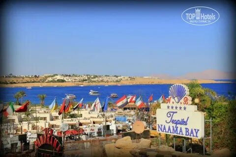Bay отзывы