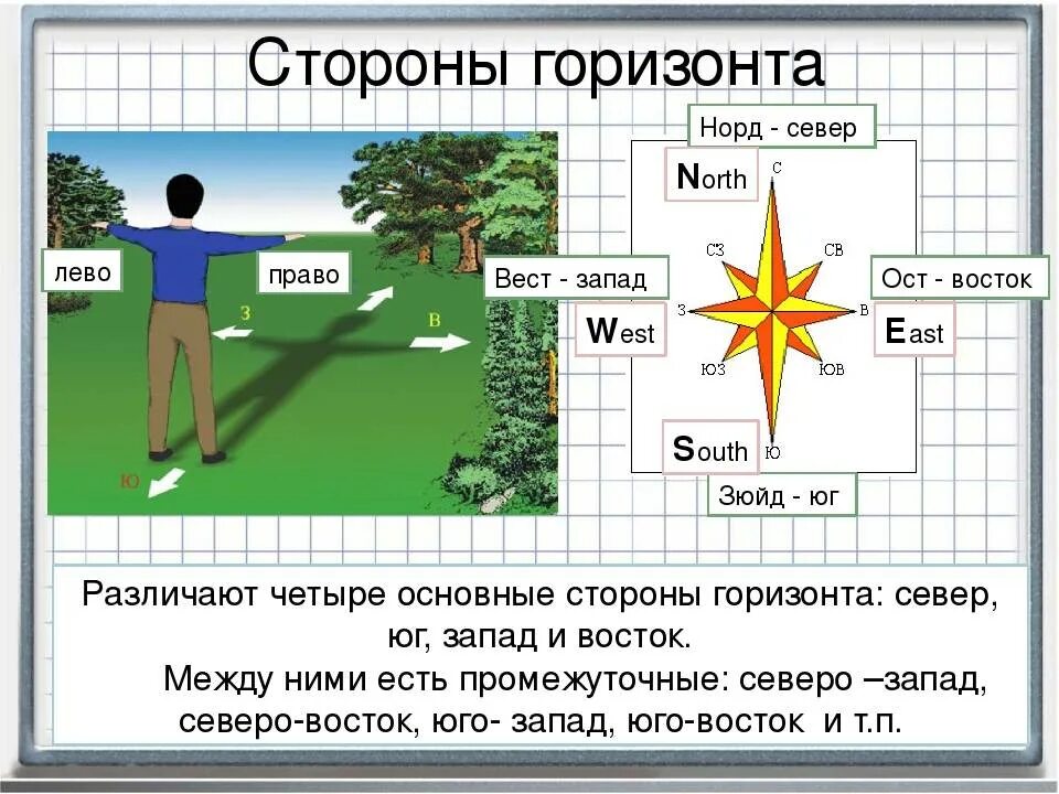 Ориентирование на местности стороны горизонта.