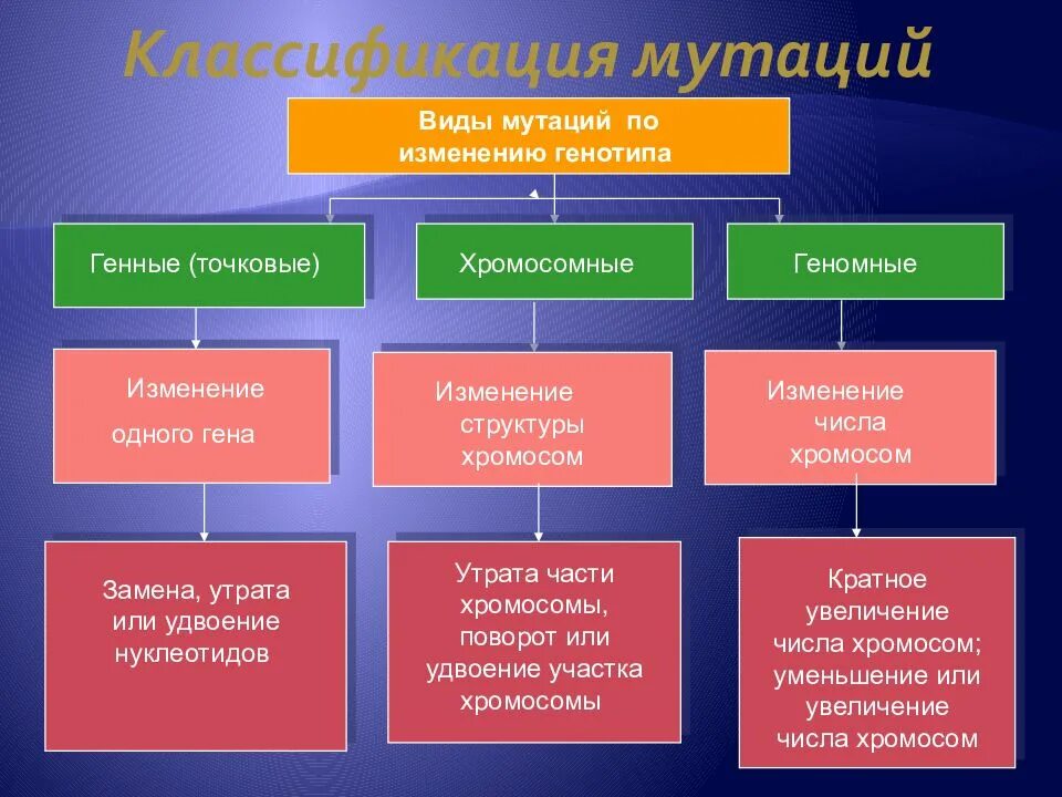 Виды мутации презентация