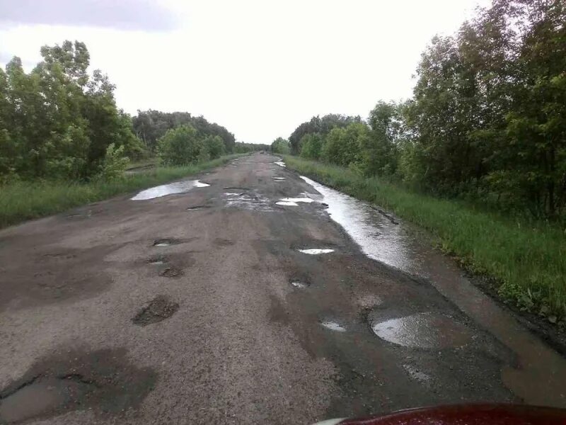 Погода большой рельне саратовской области лысогорского района. Большая Рельня Лысогорский район Саратовской области. Село Ковыловка Лысогорский район Саратовская область. Лысые горы Саратовская область. Лысая дорога.