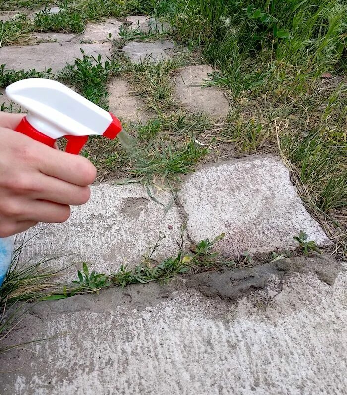 Борьба с сорняками на даче. Средство борьбы с травой в огороде. Избавилась от сорняков на участке. Средство от травы на участке. Борьба с сорняками народными