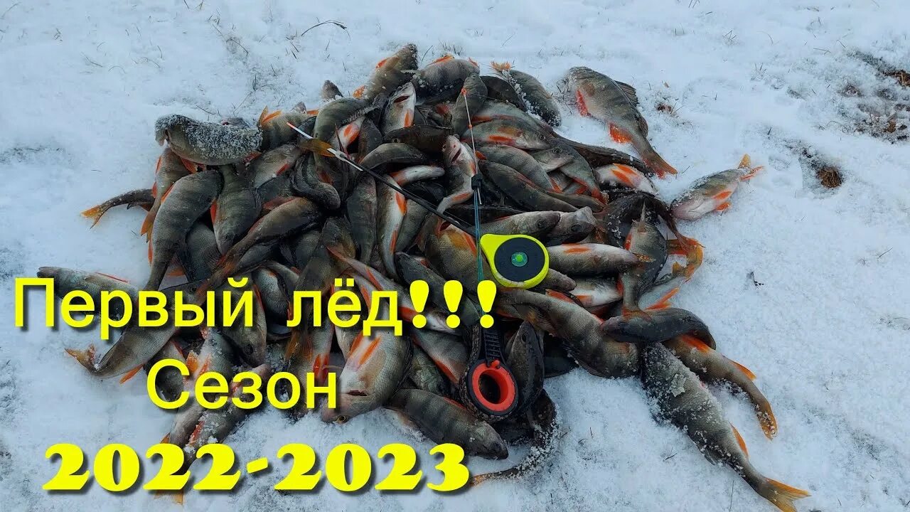 зимняя рыбалка сегодня. рыбалка зимой на речке. охота и рыбалка в карелии. зимняя рыбалка. сахалинская зимняя рыбалка.